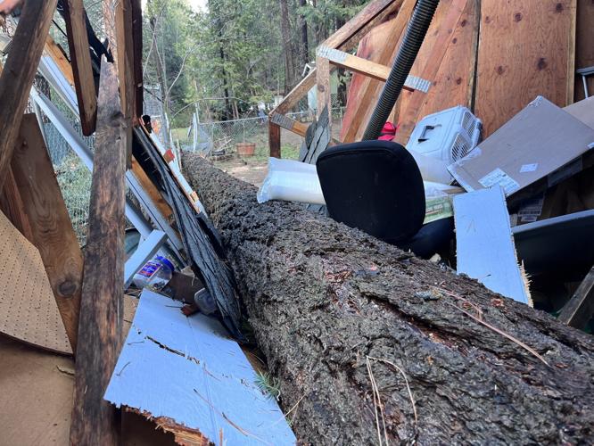 Who Pays if a Neighbor’s Tree Falls on Your Property and Causes Damage